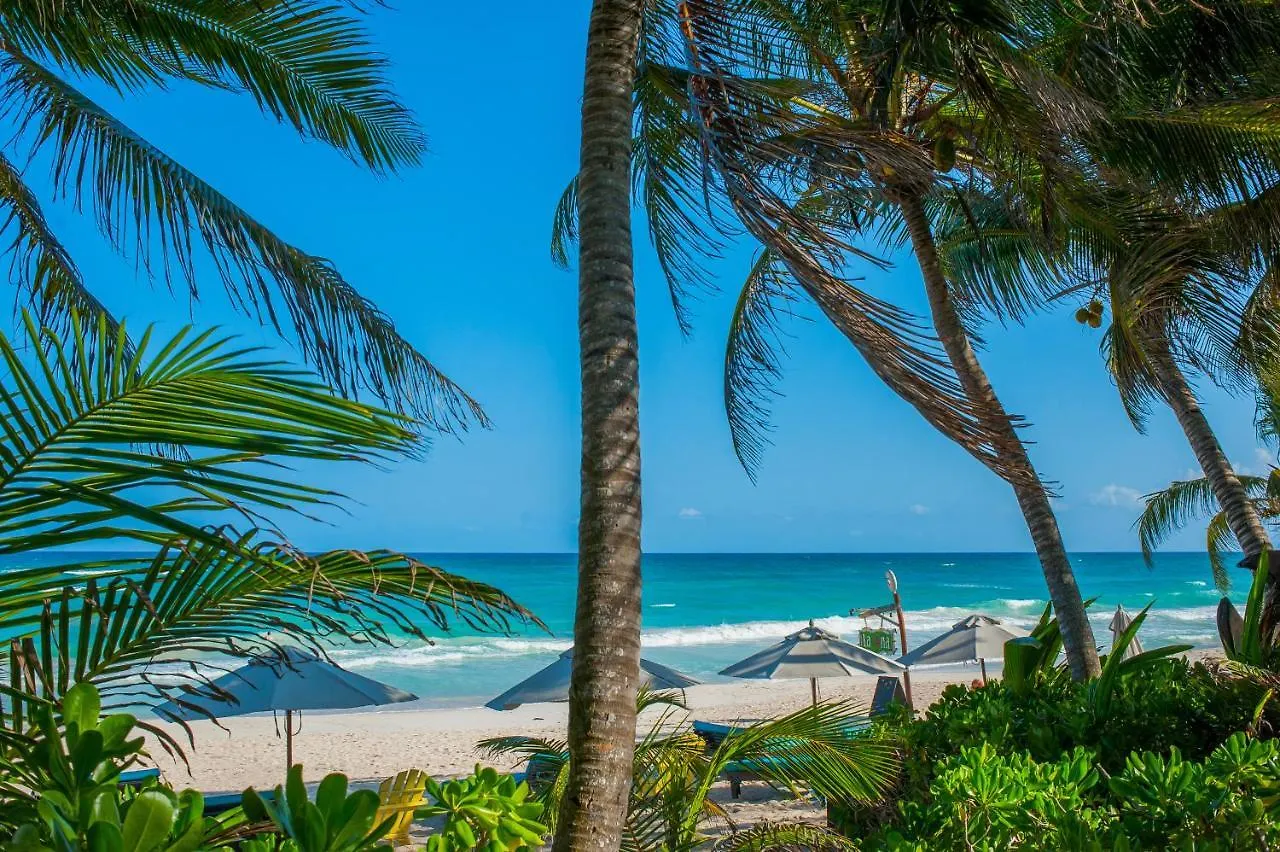 Hotel La Luna Tulum By Lockey