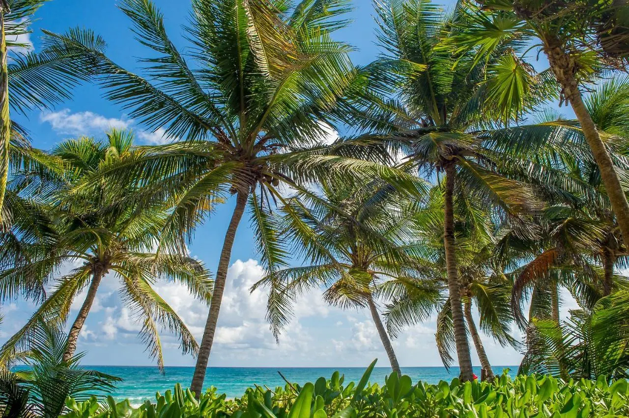 La Luna Tulum By Lockey 0*,