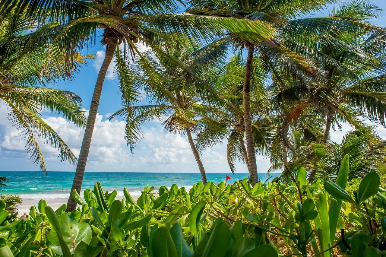 La Luna Tulum By Lockey