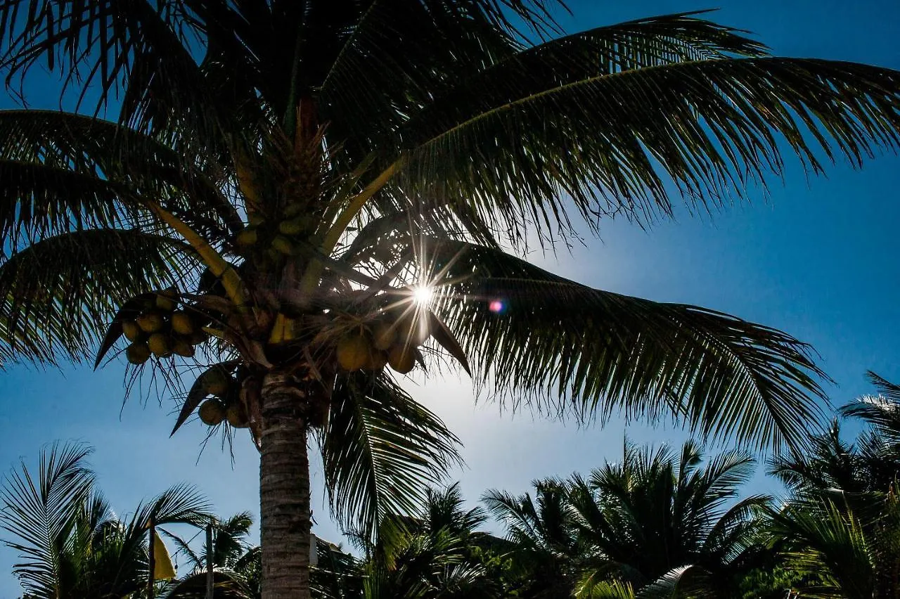 Hotel La Luna Tulum By Lockey
